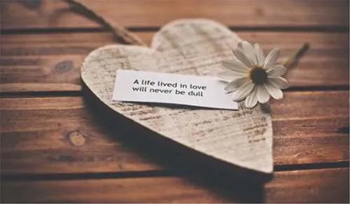 爱情公寓经典台词