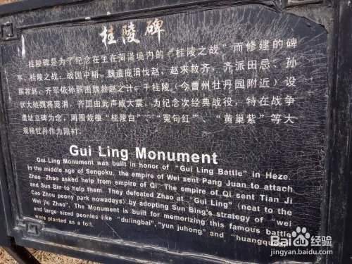 游玩菏泽牡丹园攻略（近期）