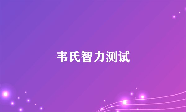 韦氏智力测试