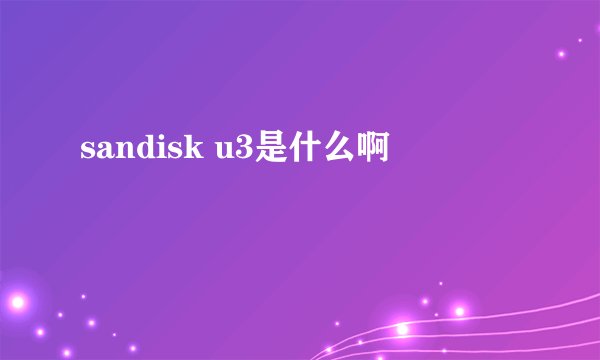 sandisk u3是什么啊