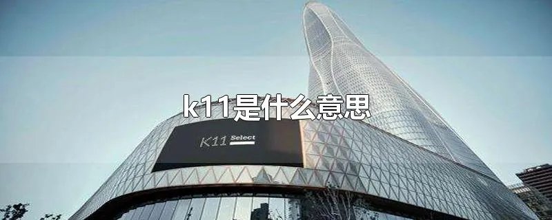 k11是什么意思