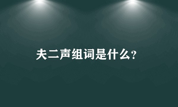 夫二声组词是什么？