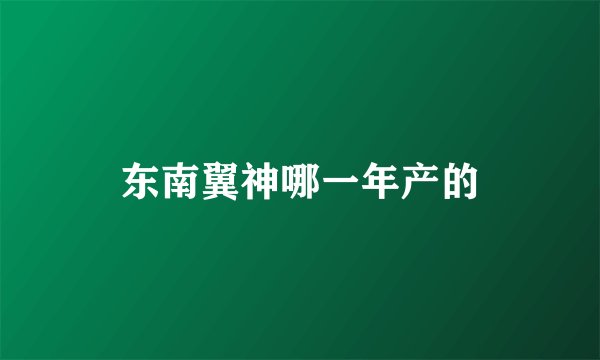 东南翼神哪一年产的