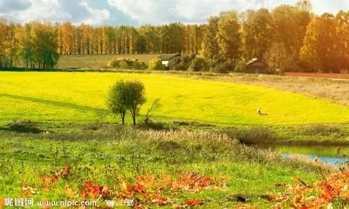 关于秋天的歌曲有哪些