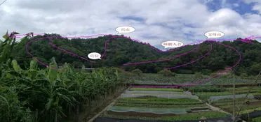 出7个状元祖坟风水,梅关古道状元祖墓的来历