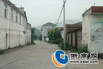 董宋萍的人物简介