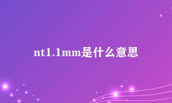 nt1.1mm是什么意思