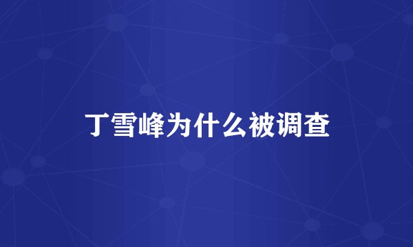 丁雪峰为什么被调查