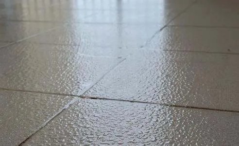 南方多地进入回南天，回南天要注意什么？