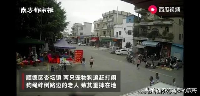 如果你是牵狗女孩，你会逃跑嘛？