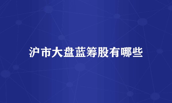沪市大盘蓝筹股有哪些