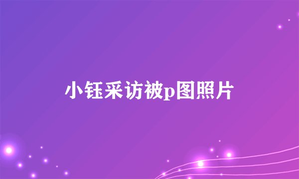 小钰采访被p图照片