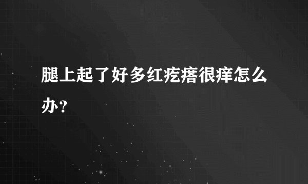 腿上起了好多红疙瘩很痒怎么办？