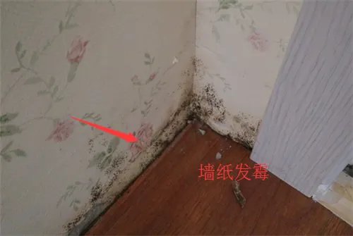 集成墙生产厂家有哪些  集成墙面的优缺点分析