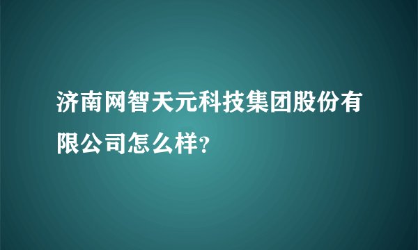 济南网智天元科技集团股份有限公司怎么样？