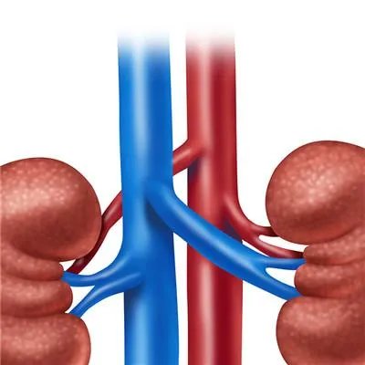 红细胞高是什么原因要紧吗