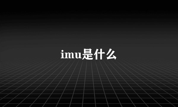 imu是什么