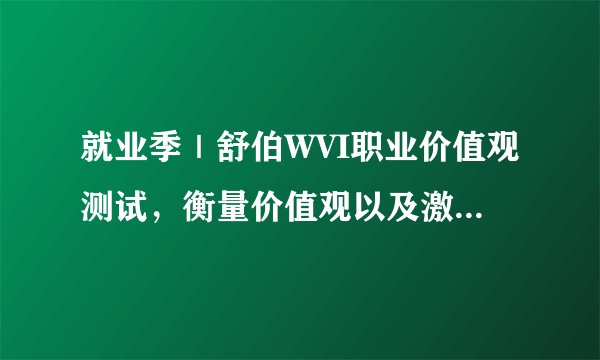 就业季｜舒伯WVI职业价值观测试，衡量价值观以及激励人们工作目标
