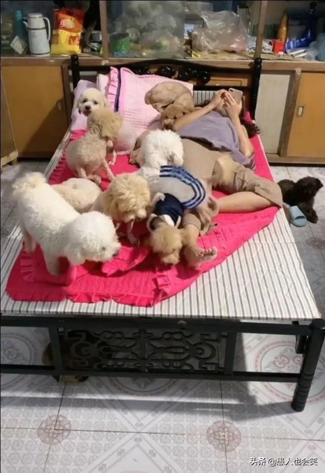 有女人说狗是她的伴侣，狗比人忠诚，比养熊孩子好，你怎么看？