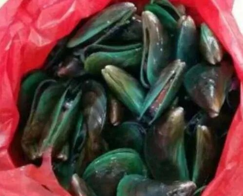 青口怎么做好吃