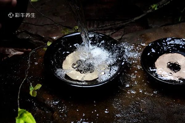 喝酒后几小时能打新冠疫苗