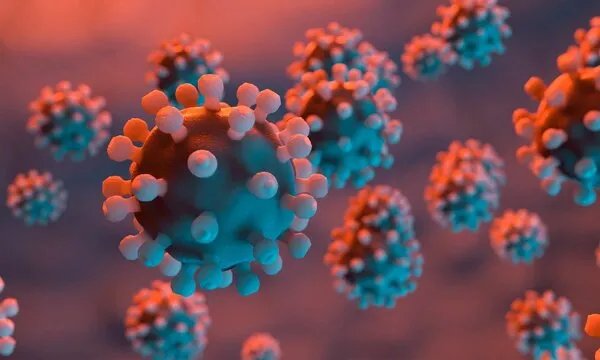 7月13日疫情简报：新增本土确诊57例；常温下新冠病毒在大部分物品表面1天内全部失活；台湾新增29911例新冠确诊病例