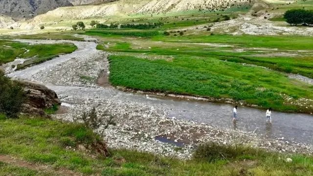 大家对林生斌的事情有什么看法？