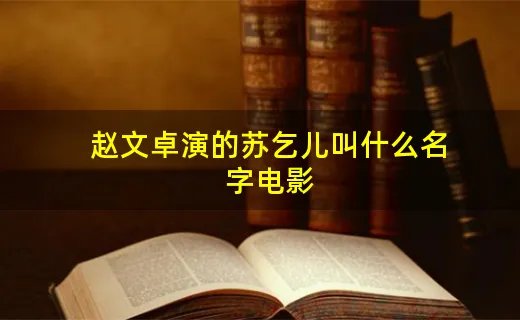 赵文卓演的苏乞儿叫什么名字电影
