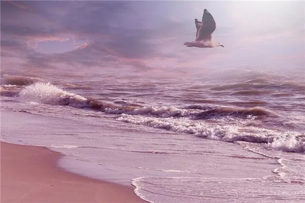 梦见和儿子爬山