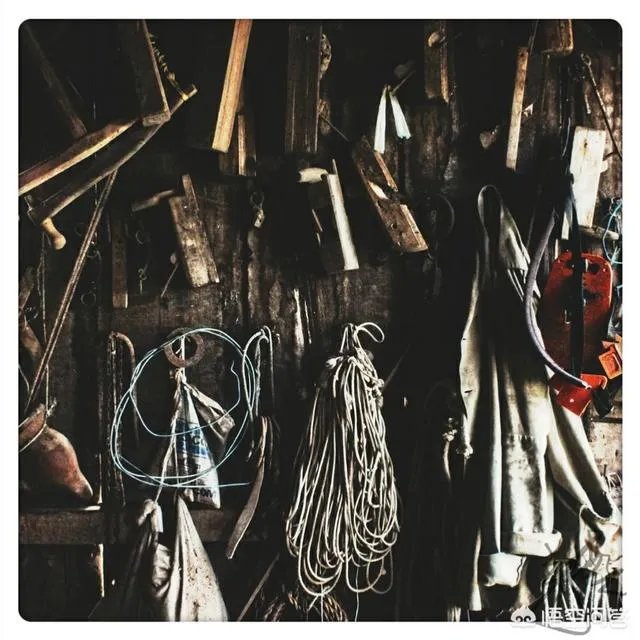 美国多地爆发超级真菌，近50%感染者90天内死亡，中国确认18例。我们用害怕么？