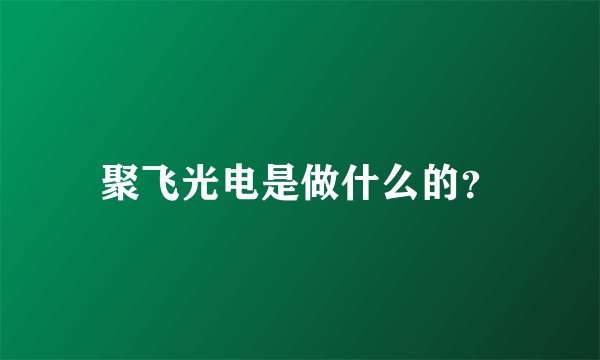 聚飞光电是做什么的？