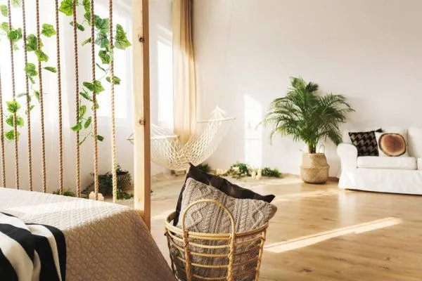 这10种花寓意幸福团圆，过年过节家里一定要种！