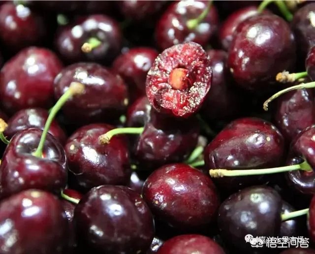 今年水果价格高,有的地方梨价格涨到十多元一斤,你那边水果价格高吗?