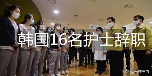 韩国新冠定点医院16名护士辞职，理由是没时间看孩子，你怎么看这事？