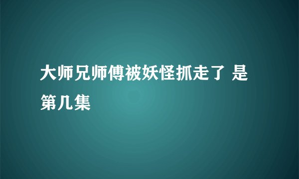 大师兄师傅被妖怪抓走了 是第几集