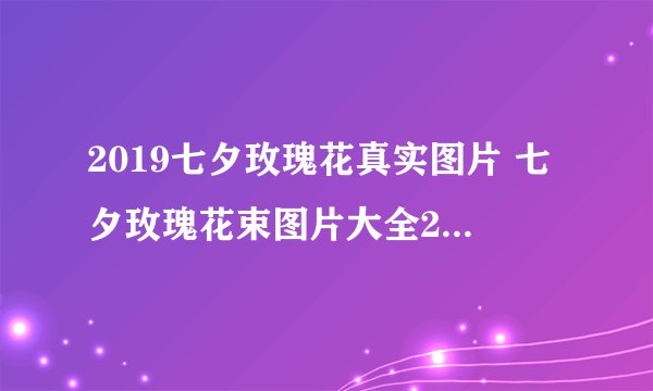 2019七夕玫瑰花真实图片 七夕玫瑰花束图片大全2019唯美