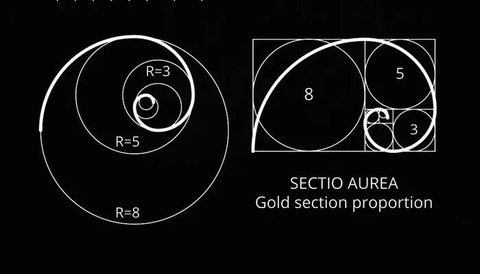 黄金分割比例是多少 摄影黄金分割比例是多少