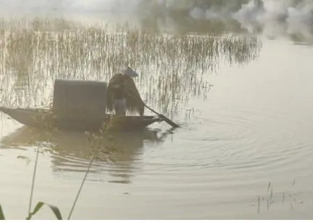 黄晕 窠巢 披着蓑 戴着笠 抚摸的拼音