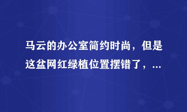 马云的办公室简约时尚，但是这盆网红绿植位置摆错了，你同意吗