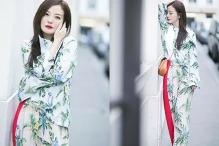 黄有龙为赵薇庆生  小燕子巴黎街拍惊艳众人