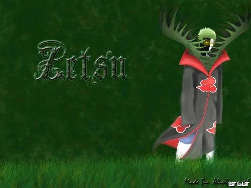 火影忍者中的两种白绝有什么区别