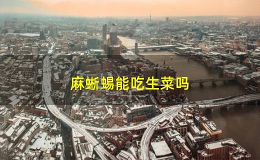 麻蜥蜴能吃生菜吗