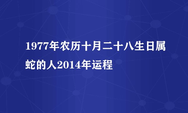 1977年农历十月二十八生日属蛇的人2014年运程