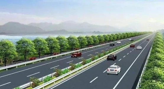 宠物狗晕车女子高速上下车遛狗！女子这么做有什么安全隐患？