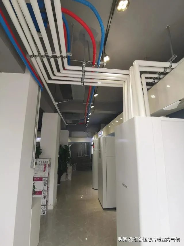 室友说宿茂臻很厉害，有谁能科普一下吗？