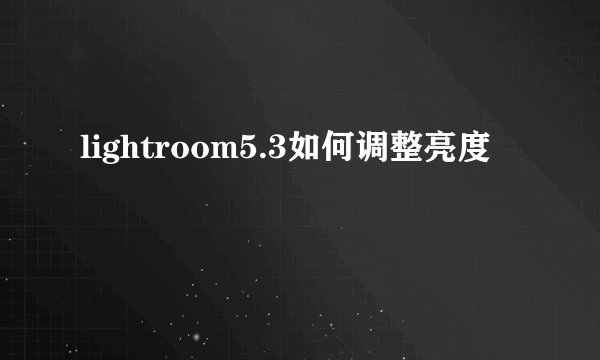 lightroom5.3如何调整亮度