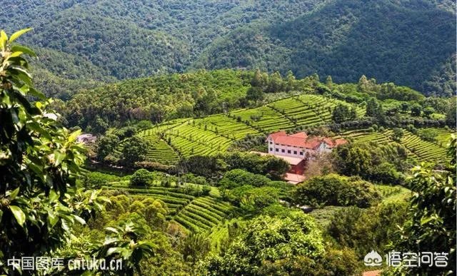 梅州有什么好玩的地方吗?