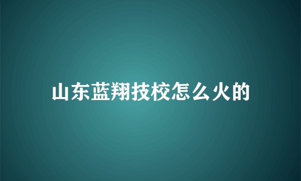山东蓝翔技校怎么火的