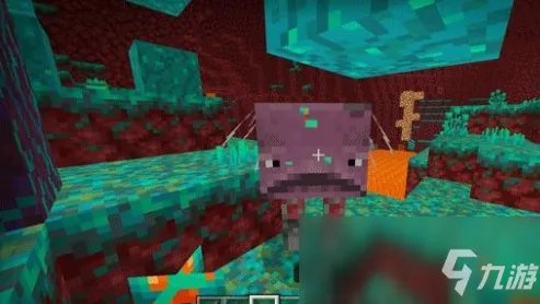 《我的世界》诡异森林作用一览 诡异森林有什么用