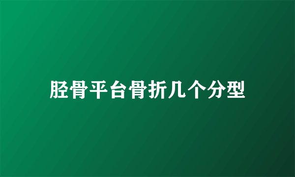 胫骨平台骨折几个分型